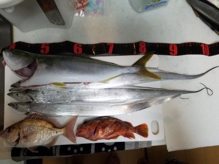 ボチボチな釣果