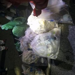 アジング&清掃活動