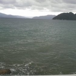 八つ・九つ・十 つ抜けできました。