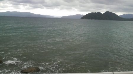 八つ・九つ・十 つ抜けできました。