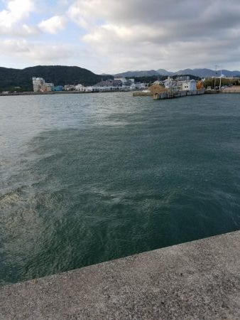 ハマチ、サゴシ、太刀魚