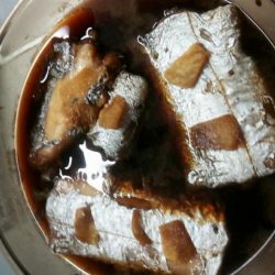 太刀魚好調です