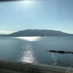 アオリイカ ヤエンで10杯