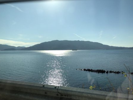 アオリイカ ヤエンで10杯