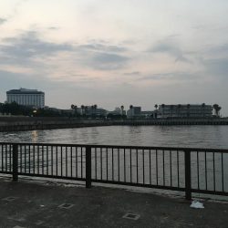 アナゴの数釣り