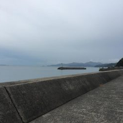 サゴシいました