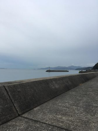 サゴシいました