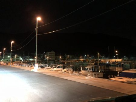 イカ調査のつもりが、、、