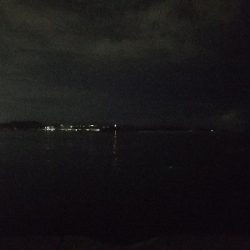 太刀魚釣り　～予想以上に小さいの多い～