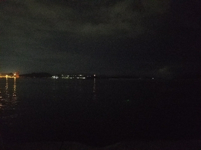 太刀魚釣り　～予想以上に小さいの多い～