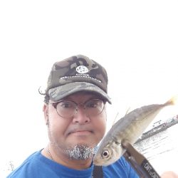 台風後のポイント調査