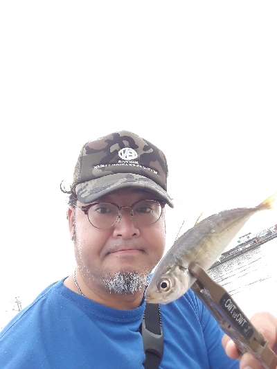 台風後のポイント調査