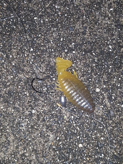 3カ月ぶりに琵琶湖