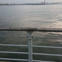 コスモで落とし込み