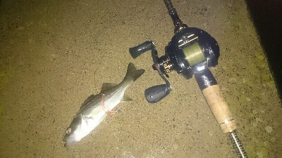 初めてのオフショアヒラメポンポン