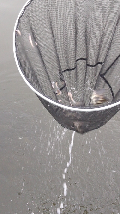 久美浜 西中渡船