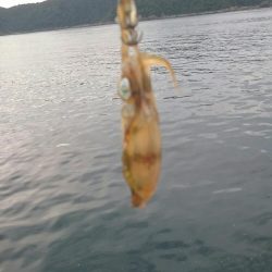 ダブル‼つ抜け(^^)vｯ