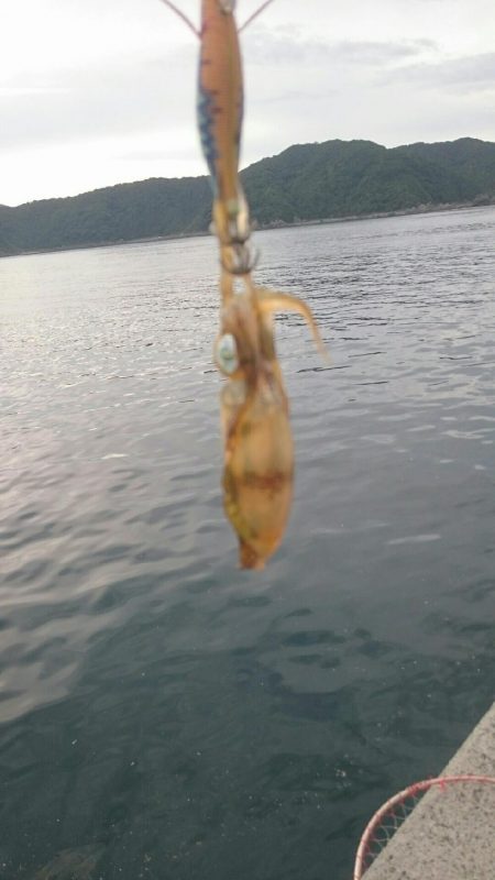 ダブル‼つ抜け(^^)vｯ