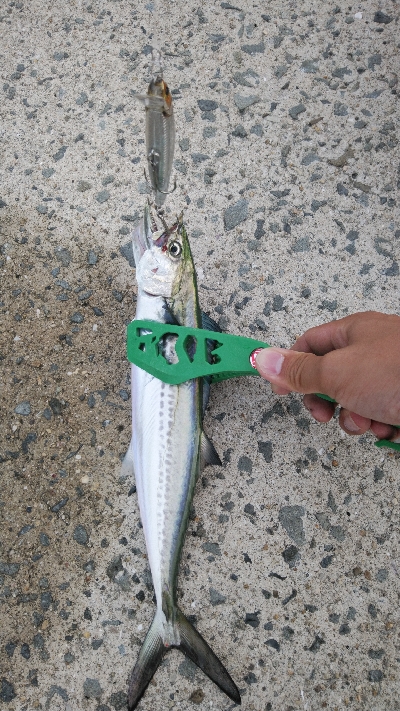 復活のアラバマン!