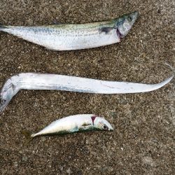 ポートアイランド