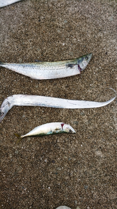 ポートアイランド