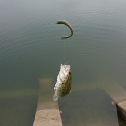 リザーバー釣行