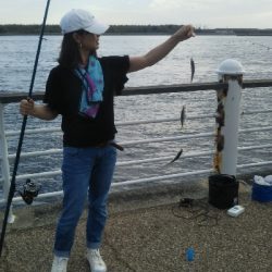 ファミリーフィッシング