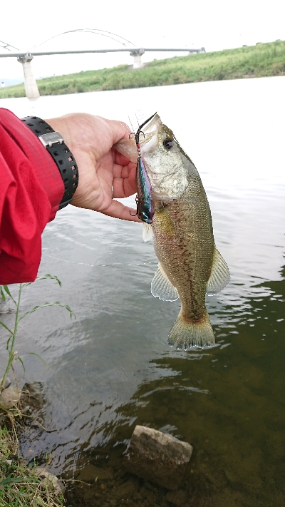 まさかのスモール