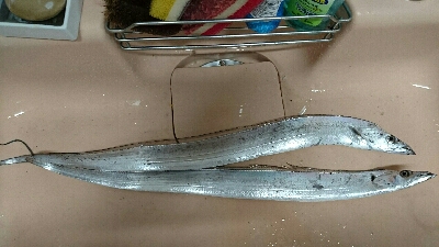 あたりはあるけど