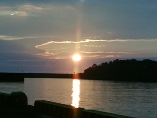 キス、真鯛、オオモンハタ