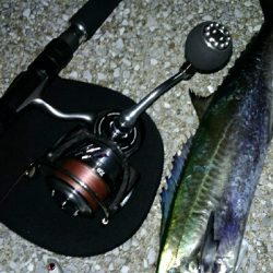 好調のはずが…