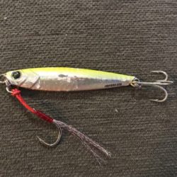 和歌山遠征  タチウオ〜青物