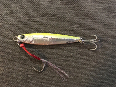 和歌山遠征  タチウオ〜青物