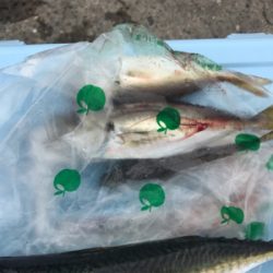 久しぶりの紀州釣り