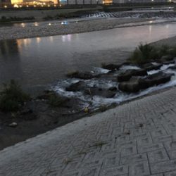 夕方のナマズゲーム