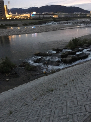 夕方のナマズゲーム