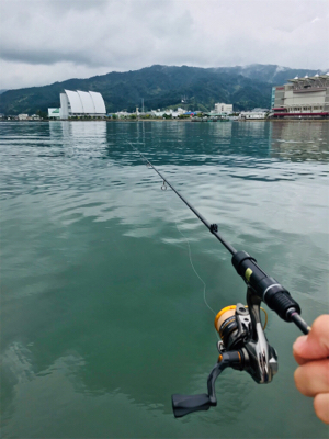 アオリイカを求めて①