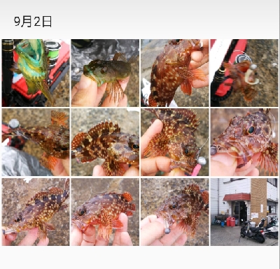 ボートがダメなら沖堤防！