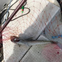 マイボート釣行