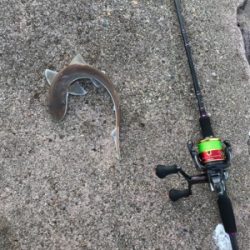 キス釣りイン石川県