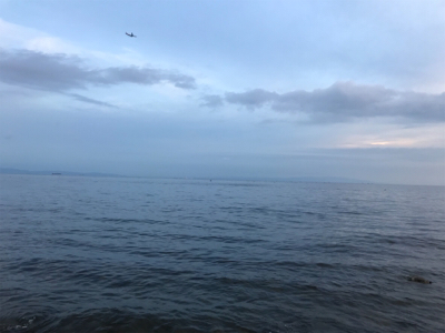 エギングええ感じ