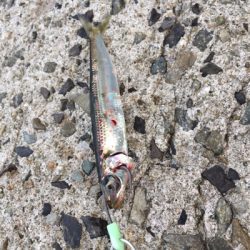 のんびり暇つぶし