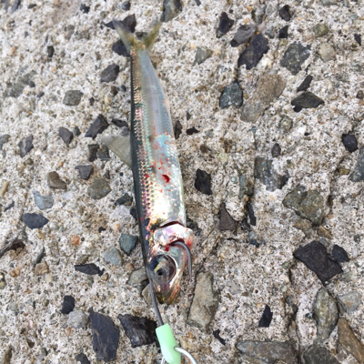 のんびり暇つぶし