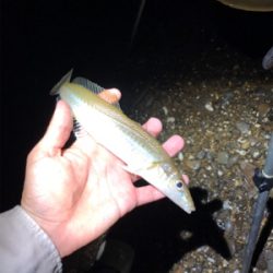 キスをちょっとだけ