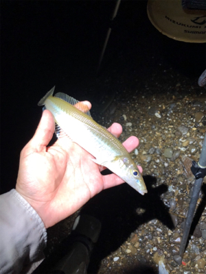 キスをちょっとだけ