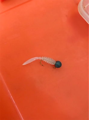 久々のライトゲーム