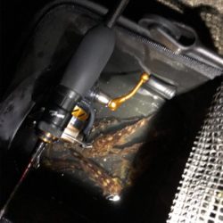 高砂港ガシリング