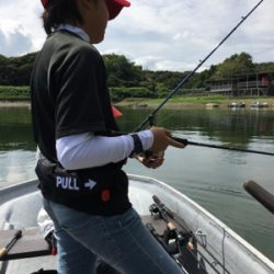 大幅減水の桜池