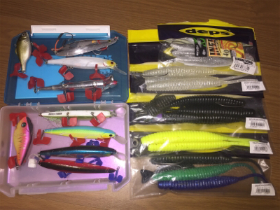 琵琶湖初釣果！