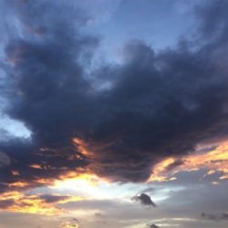 台風前にビッグフィッシュ！